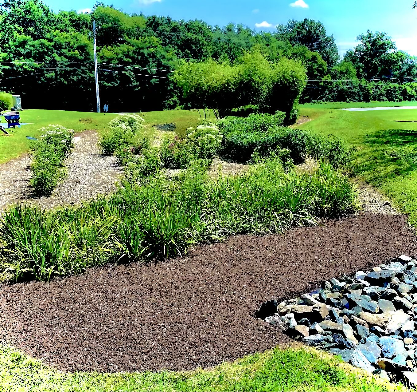 Restored and maintained stormwater facility in Maryland