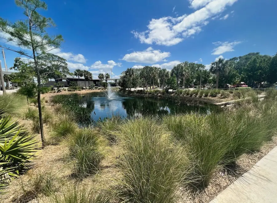 A pond ringed with ornamental grasses under a bright sky.