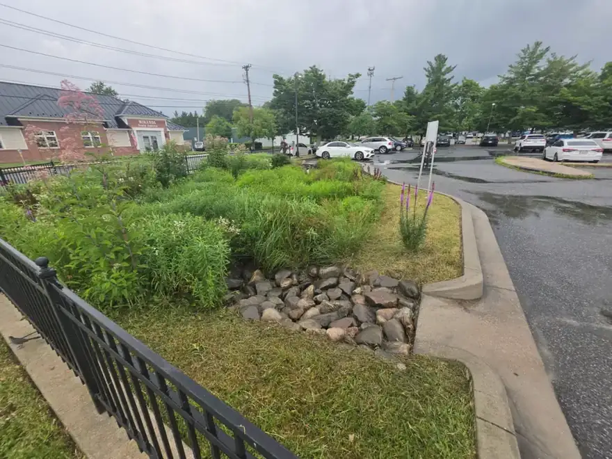 A lush planted stormwater swale with a stone forebay beside a town street